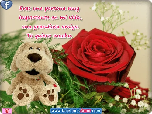 Imágenes con frases bonitas para amiga - Imágenes Bonitas para ... Imágenes con frases bonitas para amiga - Imágenes Bonitas para ...