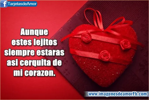 Frases bonitas para dedicar de amor ~ Imagenes de amor con frases ... Frases bonitas para dedicar de amor ~ Imagenes de amor con frases ...