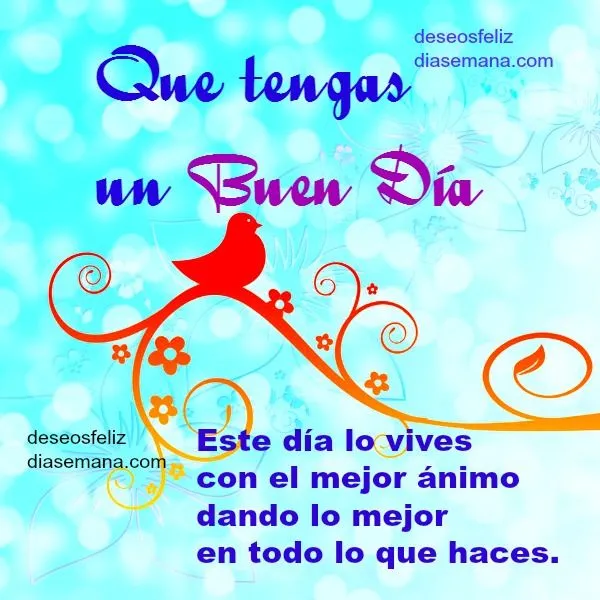 Frases bonitas para un Buen Día | Deseos Feliz Día de Semana Frases bonitas para un Buen Día | Deseos Feliz Día de Semana