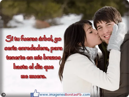 Frases bonitas para enamorar para muro de facebook - Imagenes de ...