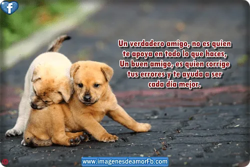Frases bonitas para facebook de amistad Imagenes bonitas con ... Frases bonitas para facebook de amistad Imagenes bonitas con ...