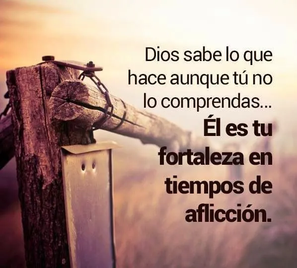 Frases Bonitas Para Facebook: Frases De Dios Sobre La Fortaleza Frases Bonitas Para Facebook: Frases De Dios Sobre La Fortaleza