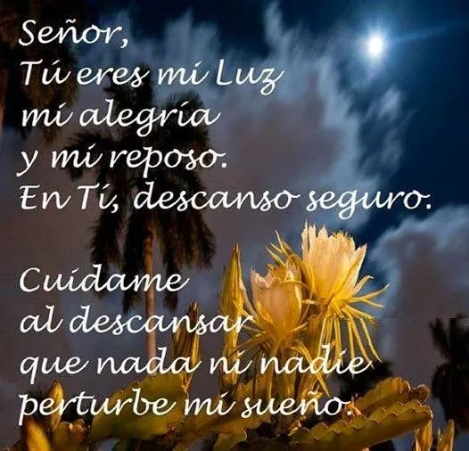 Frases Bonitas Para Facebook: Las Mejores Oraciones Para Dios Frases Bonitas Para Facebook: Las Mejores Oraciones Para Dios