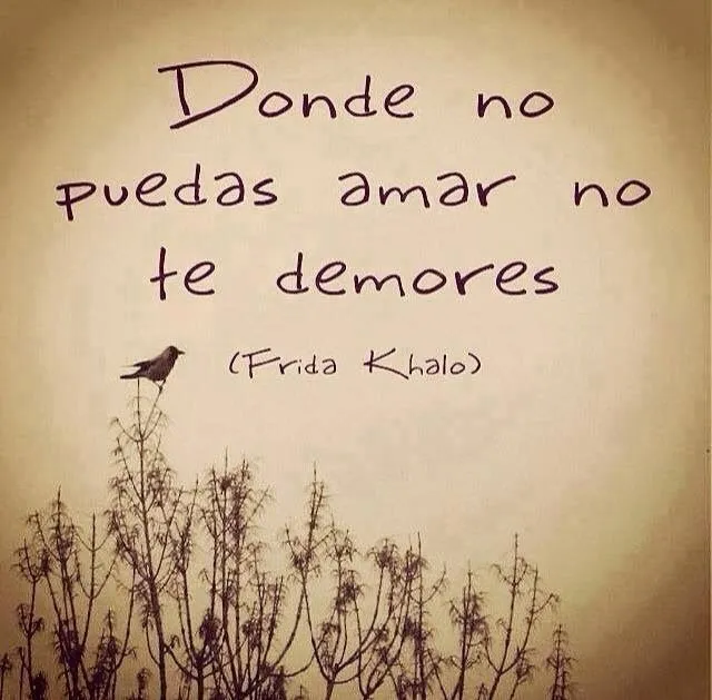 Frases Bonitas Para Facebook: Reflexion De Desamor Frases Bonitas Para Facebook: Reflexion De Desamor