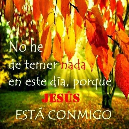 Frases Bonitas Para Facebook: Reflexiones Sobre La Confianza En ...
