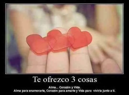 Frases bonitas para mi novio (enamorado) ~ PENSAMIENTOS DE AMOR Frases bonitas para mi novio (enamorado) ~ PENSAMIENTOS DE AMOR