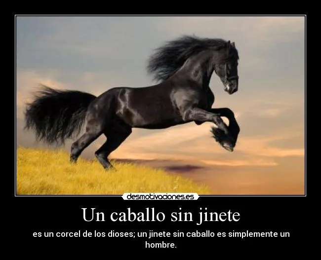 Un caballo sin jinete | Desmotivaciones