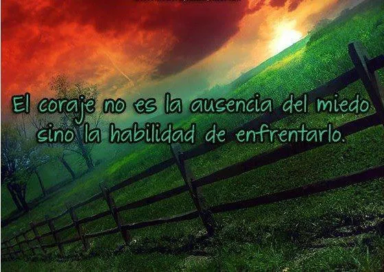 FRASES CÉLEBRES BONITAS: El coraje no es la ausencia del miedo ...