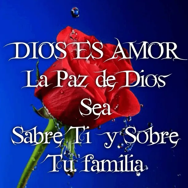 FRASES CÉLEBRES BONITAS: DIOS ES AMOR La paz de Dios sea sobre ti ...