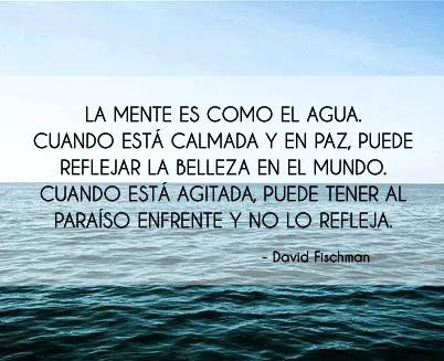 FRASES CÉLEBRES BONITAS: La mente es como el agua. Cuando está ...