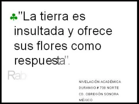 Frases célebres ecológicas - YouTube