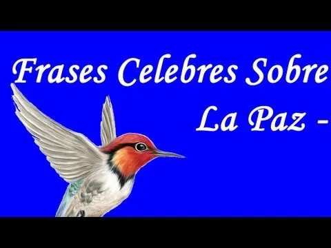 Frases Celebres Sobre La Paz - Por el dia internacional de la PAZ ...