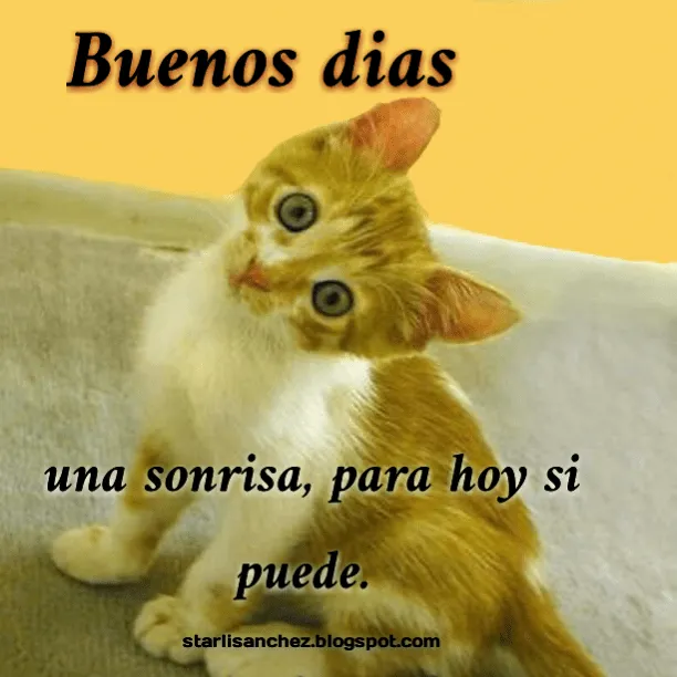 frases chistosa de buenos dias | starling sanchez frases chistosa de buenos dias | starling sanchez