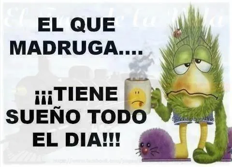 Frases chistosas para este Domingo | Imágenes Totales Frases chistosas para este Domingo | Imágenes Totales