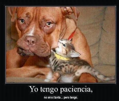 FRASES CHISTOSAS CON IMAGENES : FRASES POEMAS DE AMOR, AMISTAD Y ... FRASES CHISTOSAS CON IMAGENES : FRASES POEMAS DE AMOR, AMISTAD Y ...