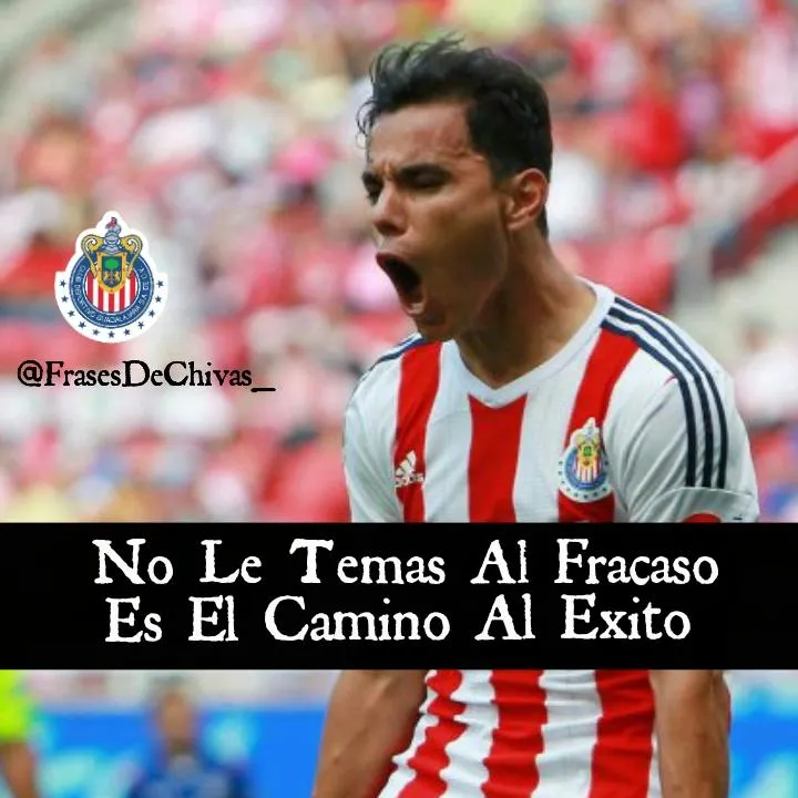 Frases De Chivas (@FrasesDeChivas_) | Twitter