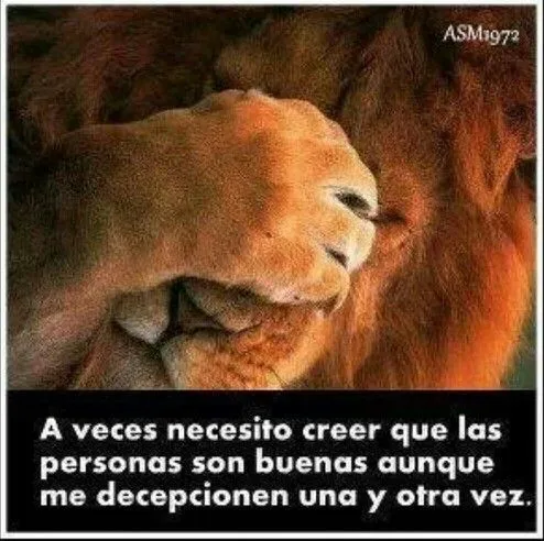 Frases - cierto, así soy yo ... No quiero creer que en realidad ... Frases - cierto, así soy yo ... No quiero creer que en realidad ...