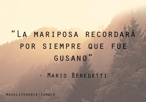 frases citas Mario benedetti magaliteraria • frases citas Mario benedetti magaliteraria •
