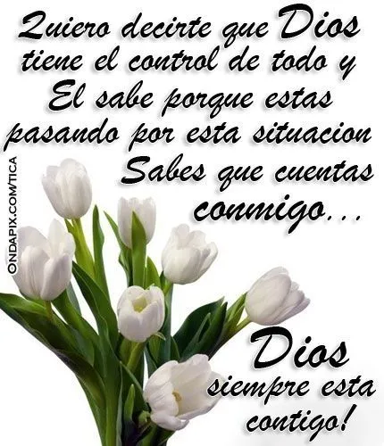 frases de condolencia - Google Search | Favoritas | Pinterest ... frases de condolencia - Google Search | Favoritas | Pinterest ...