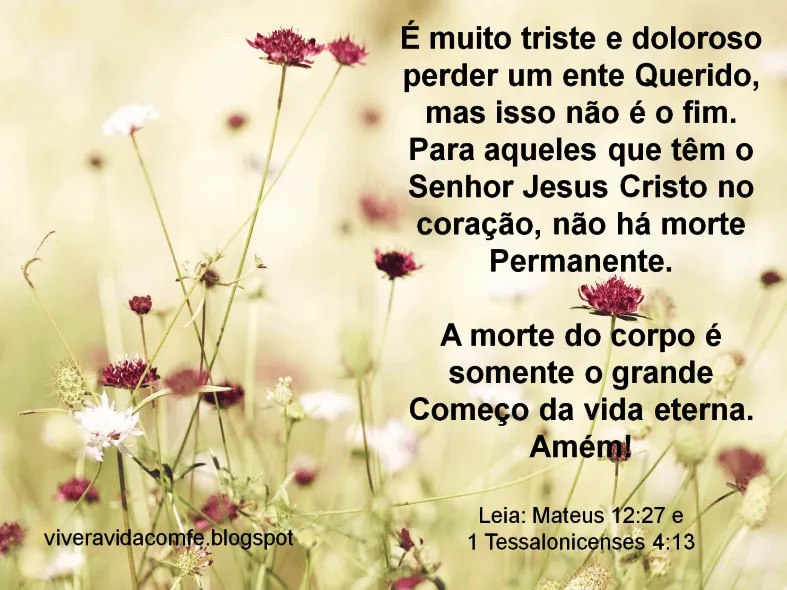 Mensagem de conforto para uma pessoa que perdeu um ente querido ... Mensagem de conforto para uma pessoa que perdeu um ente querido ...