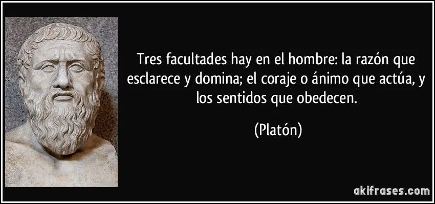 Frases de coraje - Imagui