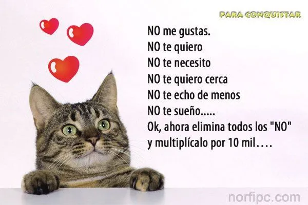 Frases del corazón para expresar amor y sentimientos en Facebook