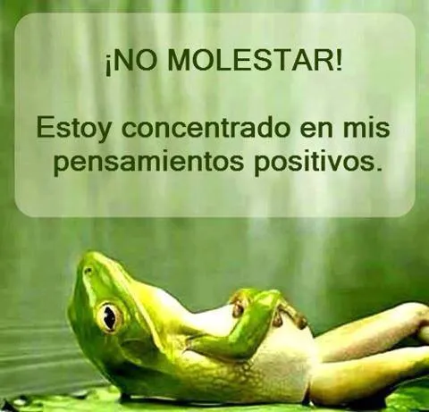 FRASES CORTAS BONITAS: ¡No molestar! Estoy concentrado en mis ... FRASES CORTAS BONITAS: ¡No molestar! Estoy concentrado en mis ...