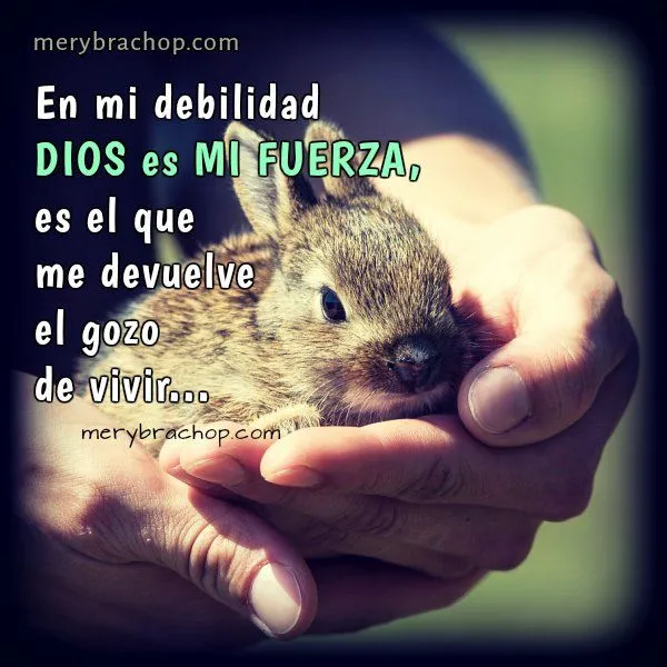Frases Cristianas de Aliento y Motivación para amigos en los ... Frases Cristianas de Aliento y Motivación para amigos en los ...