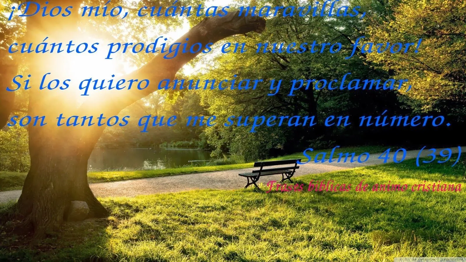 Frases Cristianas De Animo