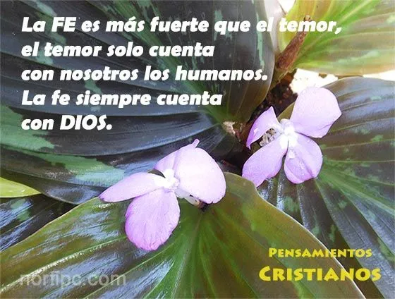 Frases cristianas de consuelo, bendición y convencimiento