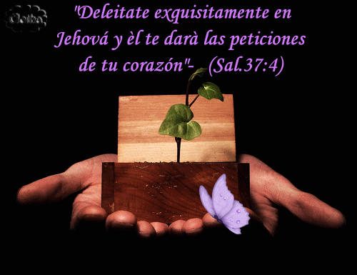 Frases Cristianas de Superación Personal | Técnicas de Superación ... Frases Cristianas de Superación Personal | Técnicas de Superación ...