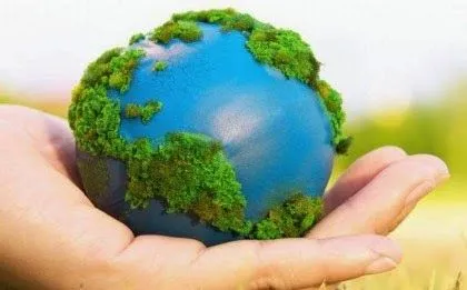 Frases sobre el cuidado del medio ambiente - Frases para reflexionar