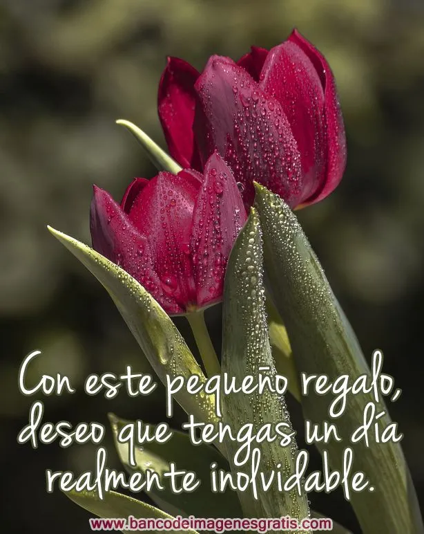frases para cumpleaños on Pinterest | Happy Birthday, Birthday ... frases para cumpleaños on Pinterest | Happy Birthday, Birthday ...