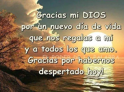 frases-de-agradecimiento-a- ...