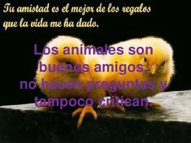 frases-de-amistad-3-728.jpg?cb ...