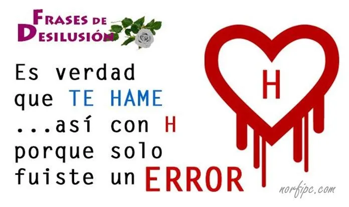 Frases sobre las decepciones, desilusiones y errores en el amor