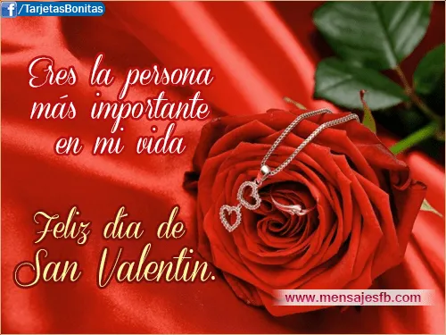 Frases para dedicar para el dia de san valentin - Mensajes Bonitos ...