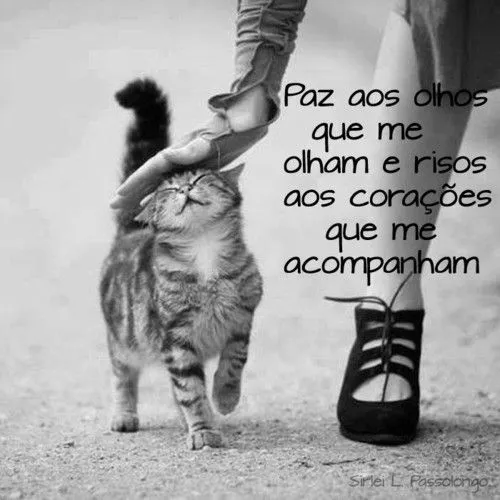 Frases do Facebook - Paz aos olhos que me olham e risos aos ... Frases do Facebook - Paz aos olhos que me olham e risos aos ...