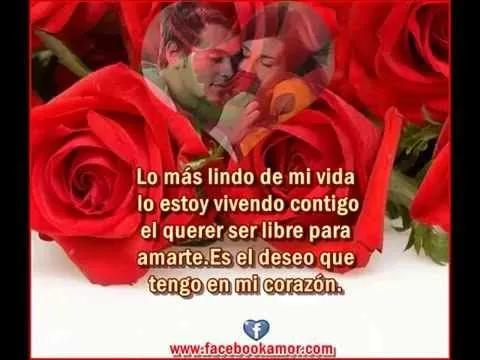 Frases con flores de rosas para el amor - YouTube