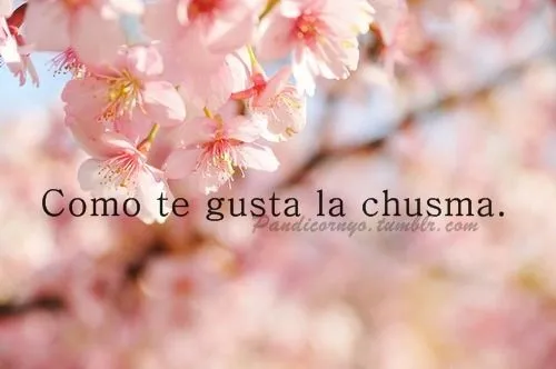 Frases de flores tumblr - Imagui