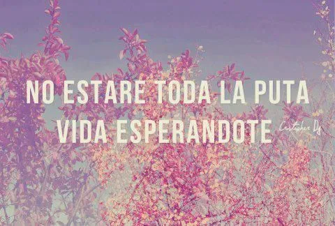 frases con fondo de flores tumblr - Buscar con Google | quotes ...