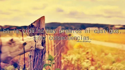 Frases con fondos tumblr - Imagui