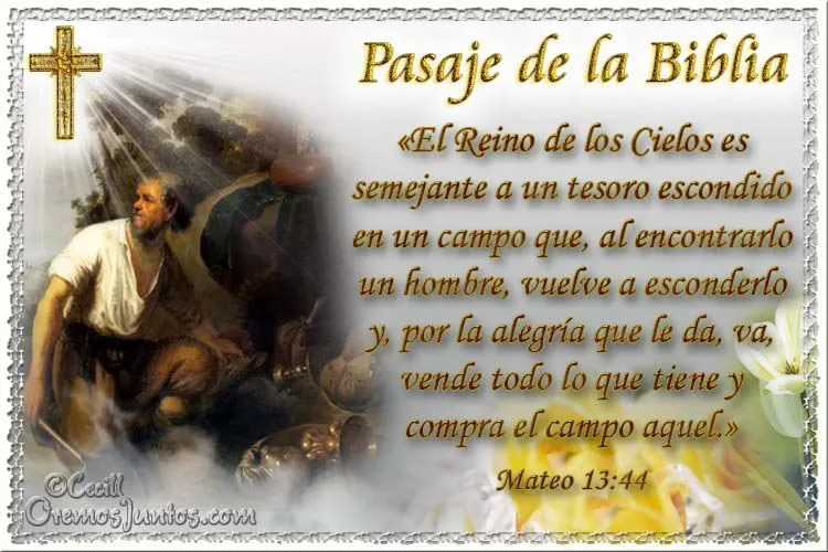 Amigos Católicos • Ver Tema - Pasaje de la Biblia