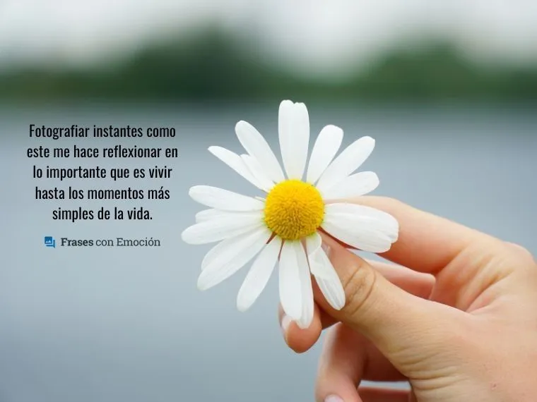 Frases para fotos de facebook - Frases con Emoción Frases para fotos de facebook - Frases con Emoción