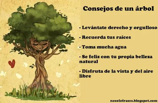 No solo Frases Más frases en: http://nosolofrases.blogspot.com.es/ No solo Frases Más frases en: http://nosolofrases.blogspot.com.es/