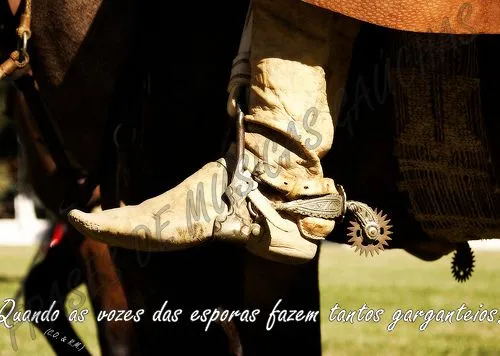 Frases gaúchas - Google+