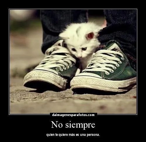 Frases Para Gente Chismosa | Frases Para Gente Metiche | Frases ... Frases Para Gente Chismosa | Frases Para Gente Metiche | Frases ...
