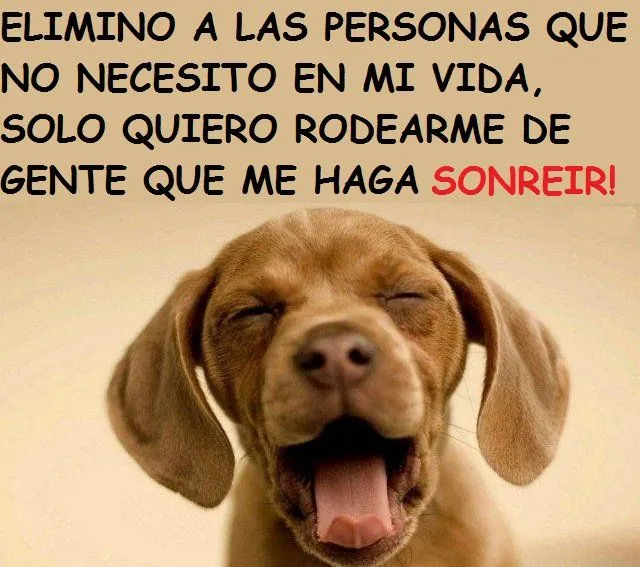 FRASES GRACIOSAS CHISTOSAS: Elimino a las personas que no necesito ...