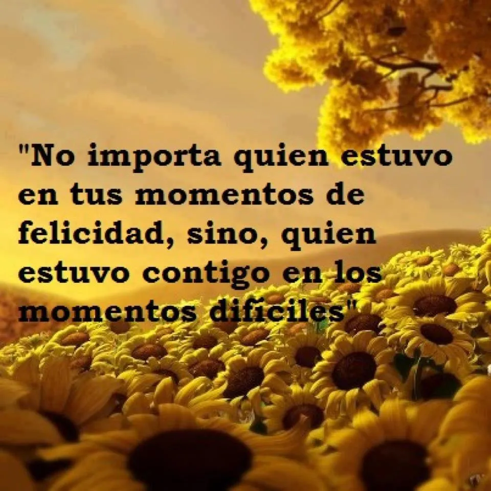 Frases de amor, Frases lindas, Frases célebres — "No importa quien ...