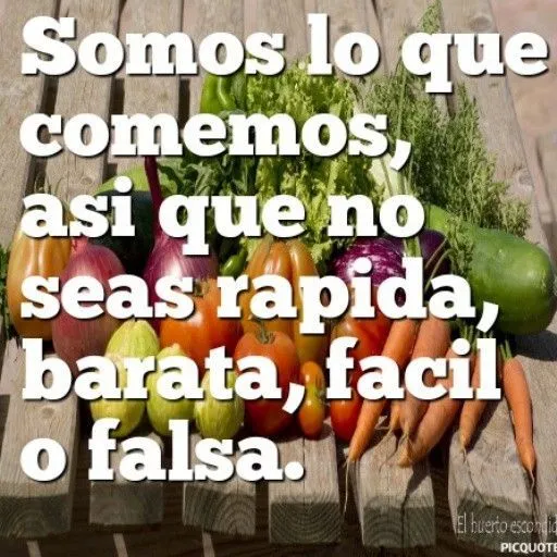 Frases graciosas comida rapida | frases | Pinterest | Frases